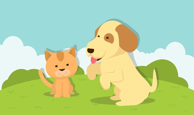 Moving home with pets Moving home with pets